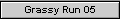 Grassy Run 05