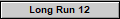 Long Run 12