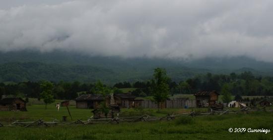DSC04259