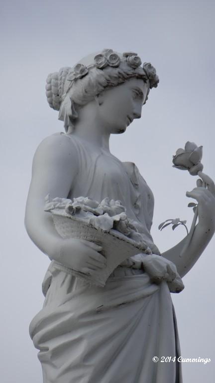 DSC06556