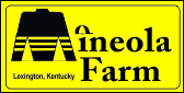 Mineola Logo