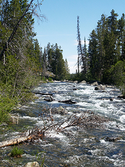 P7022410