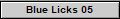 Blue Licks 05
