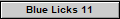 Blue Licks 11