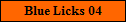 Blue Licks 04