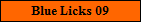 Blue Licks 09