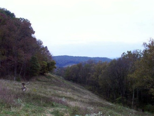 gap13
