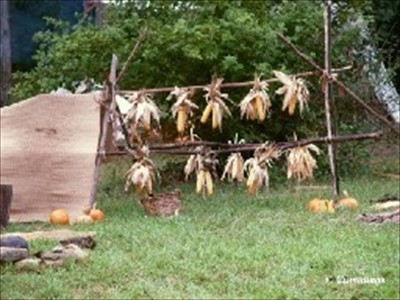 thp9012798